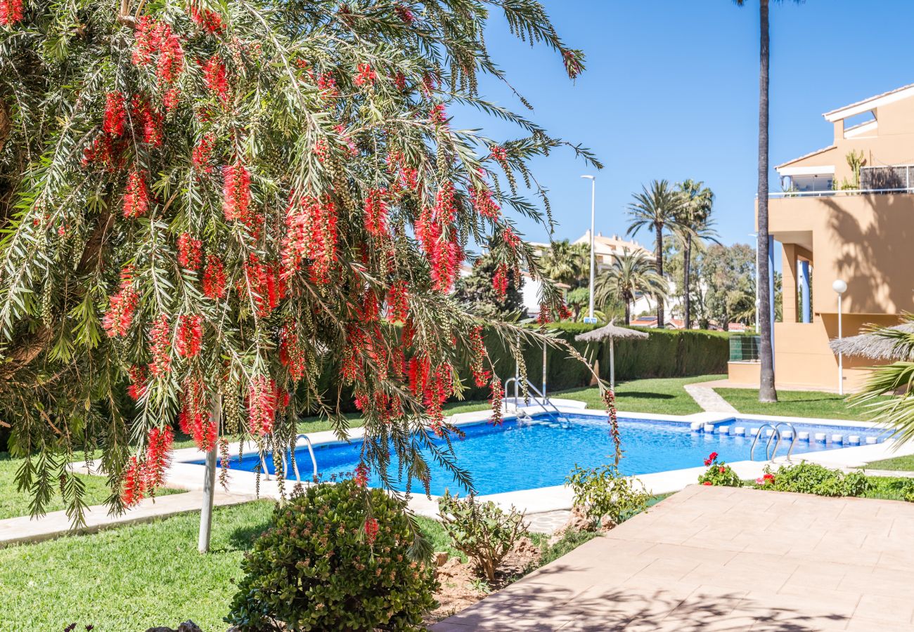 Ferienwohnung in Javea - Michele Apartment