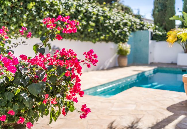 Villa in Teulada - Casita Loulou Villa in Teulada - Casita Loulou