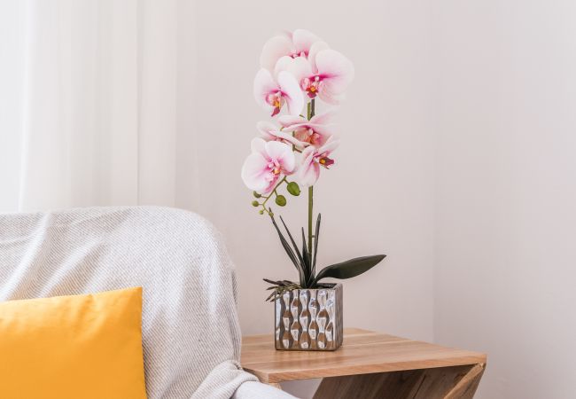 Apartment in Moraira - Aparto Almi Apartment in Moraira - Aparto Almi