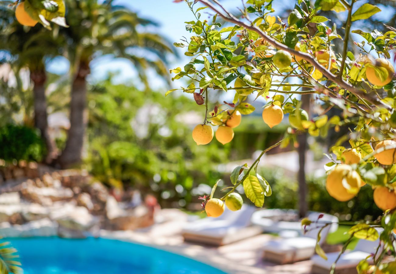 Villa in Javea - Casa Dae
